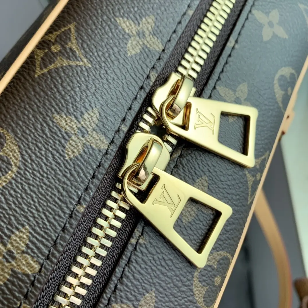 Louis Vuitton 2022 Dauphine Handbags