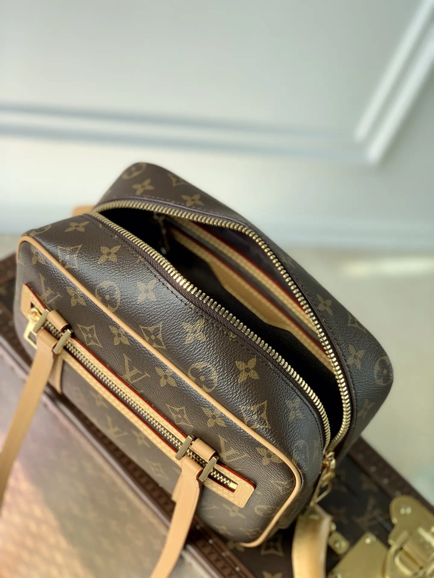 Louis Vuitton 2022 Dauphine Handbags