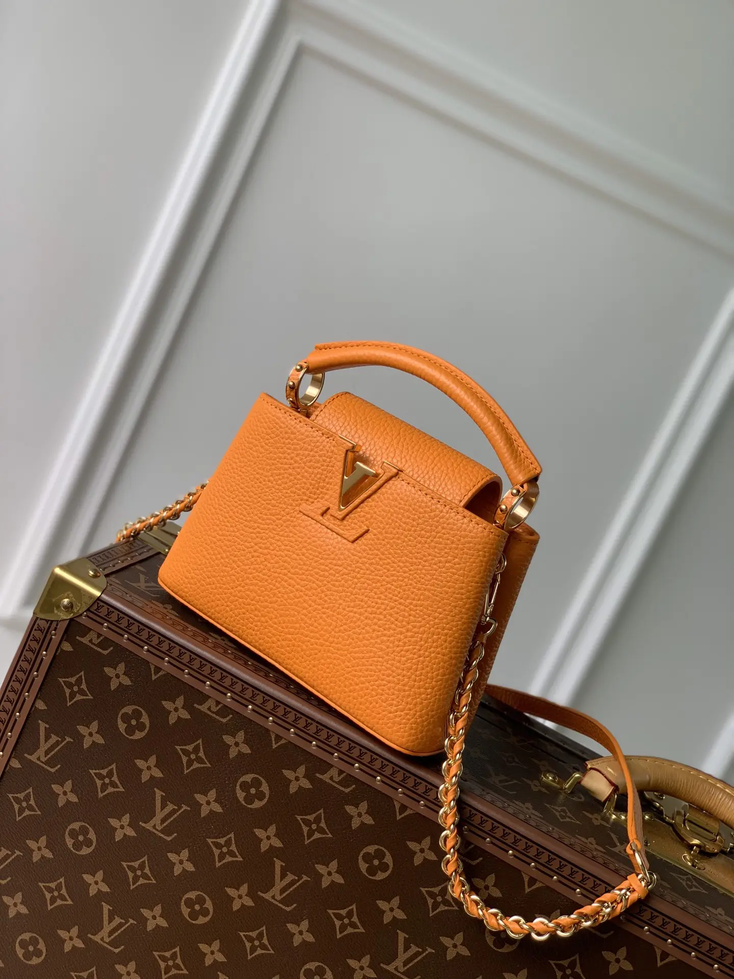 Louis Vuitton 2022 Dauphine Handbags