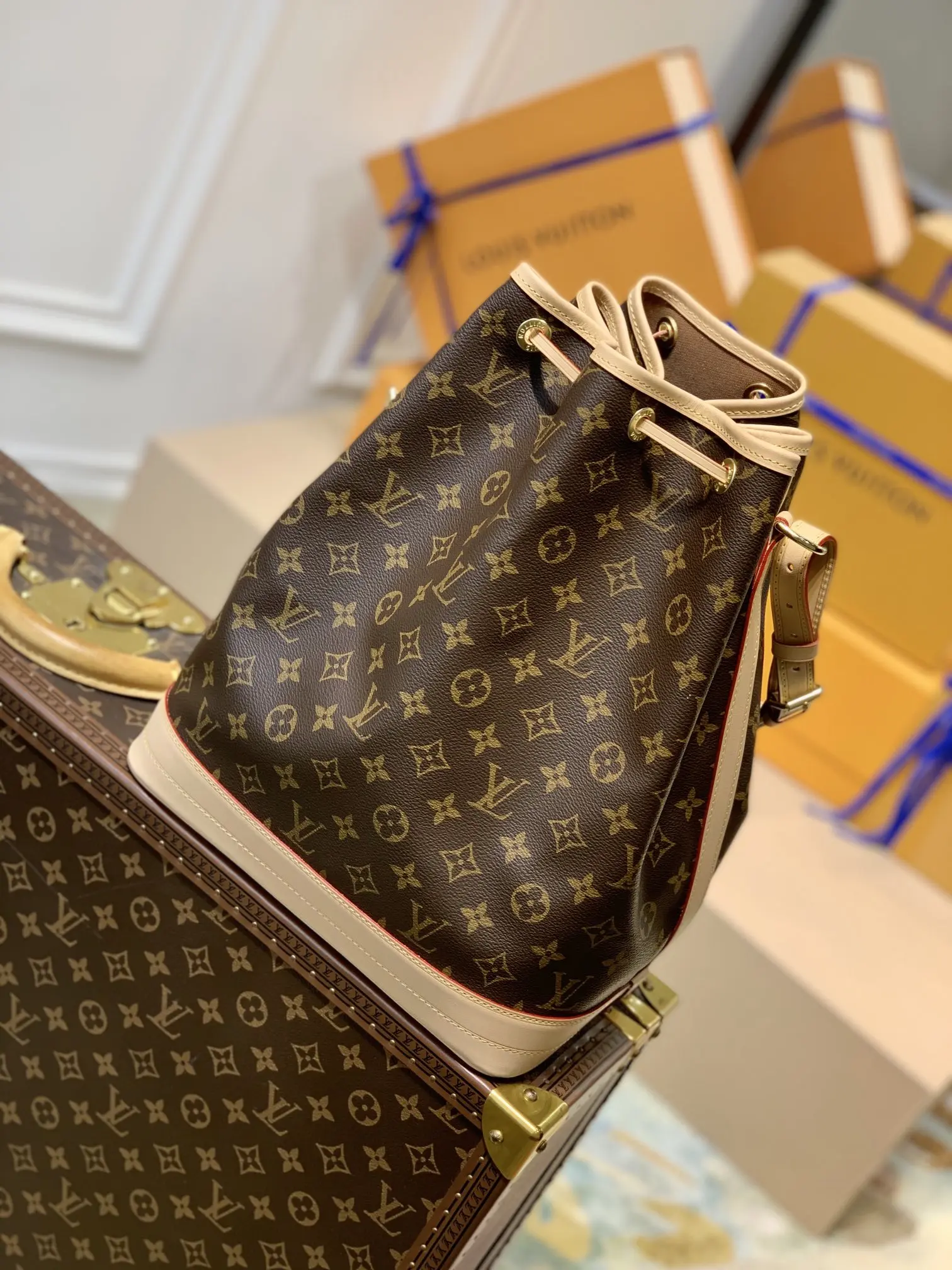 Louis Vuitton  NéoNoé BB Handbags 