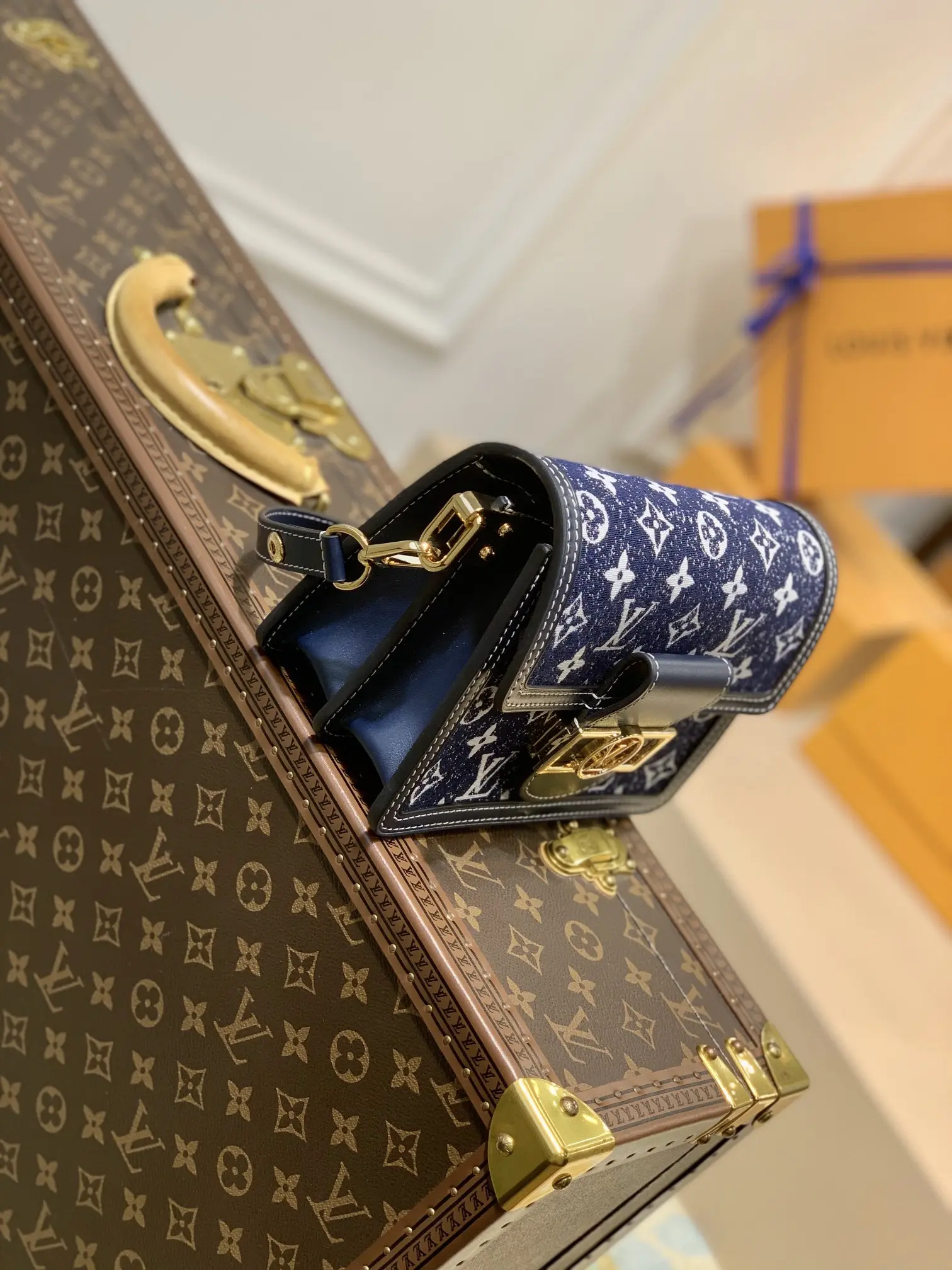 Louis Dauphine Dauphine Handbags 