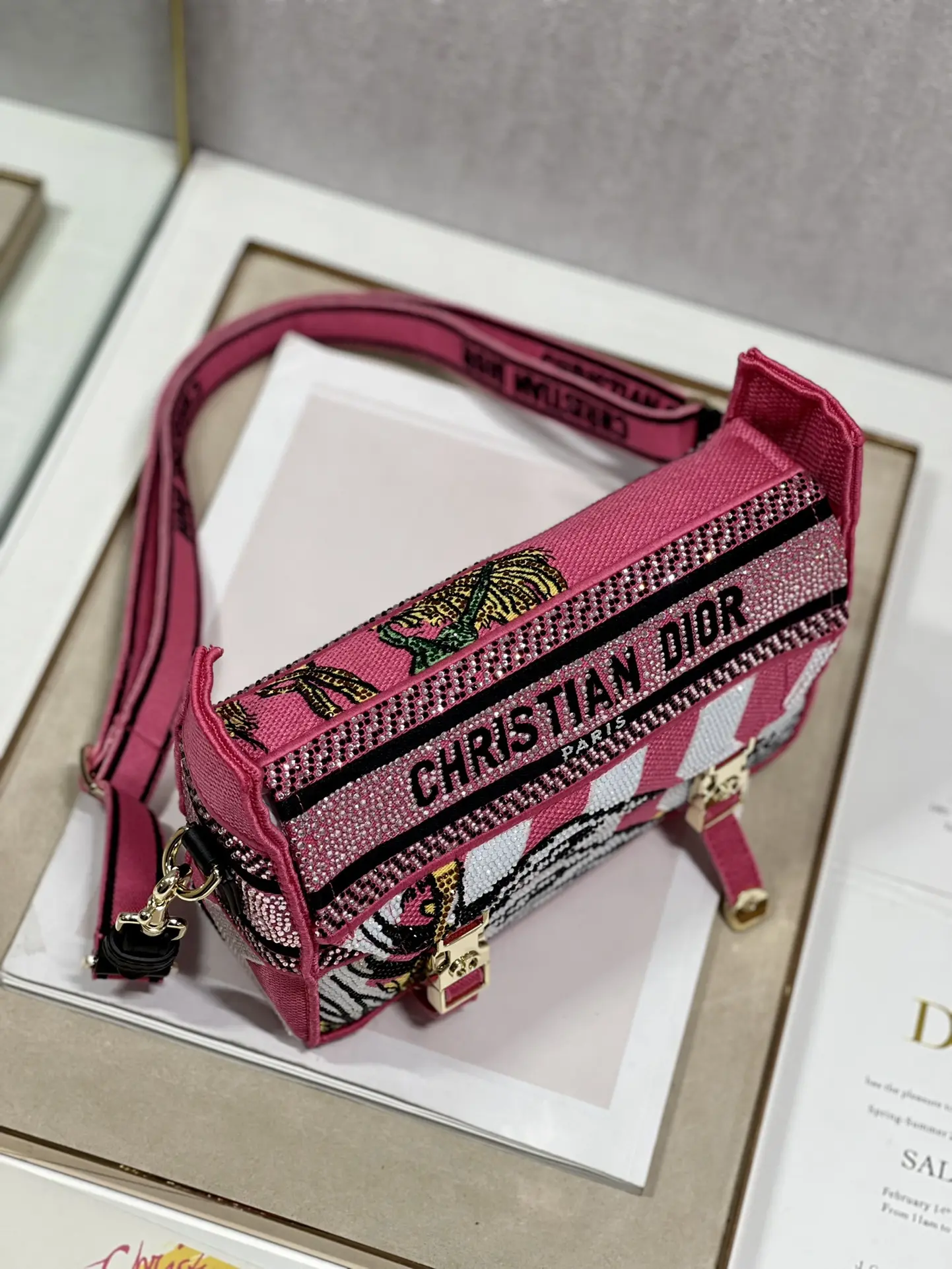 Dior Oblique Handbags