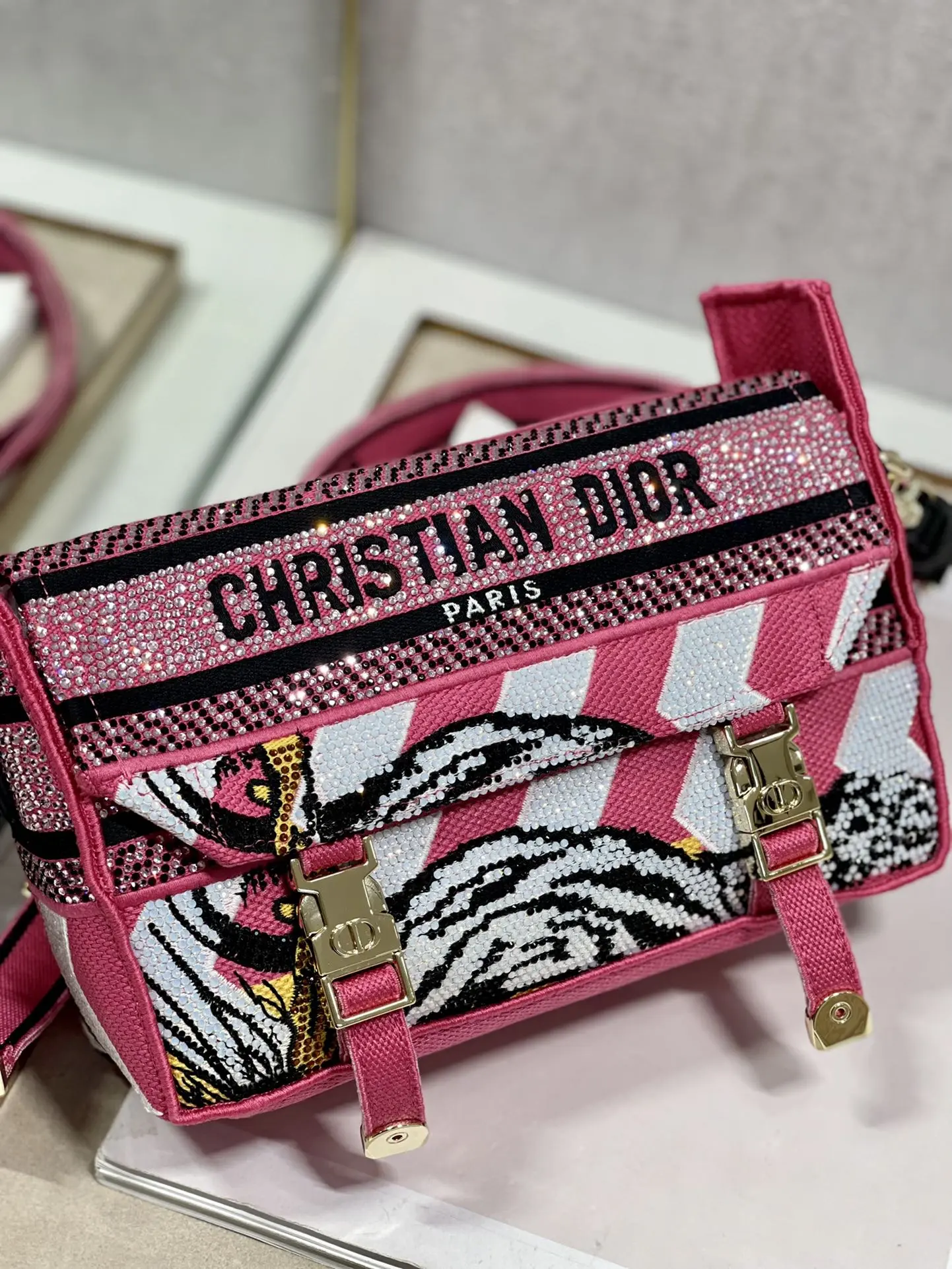 Dior Oblique Handbags