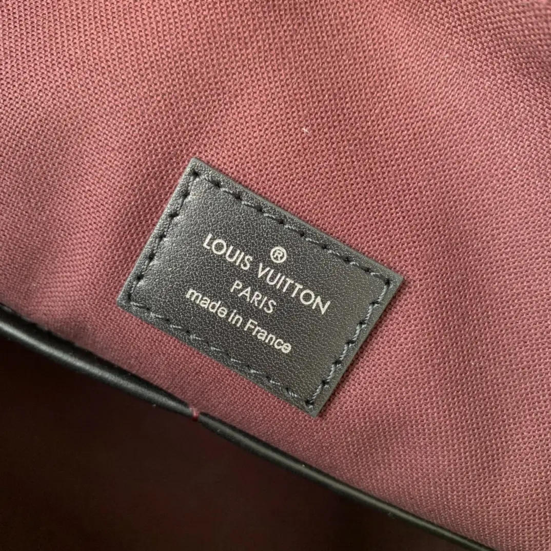 Louis Vuitton 2022 new sling bag