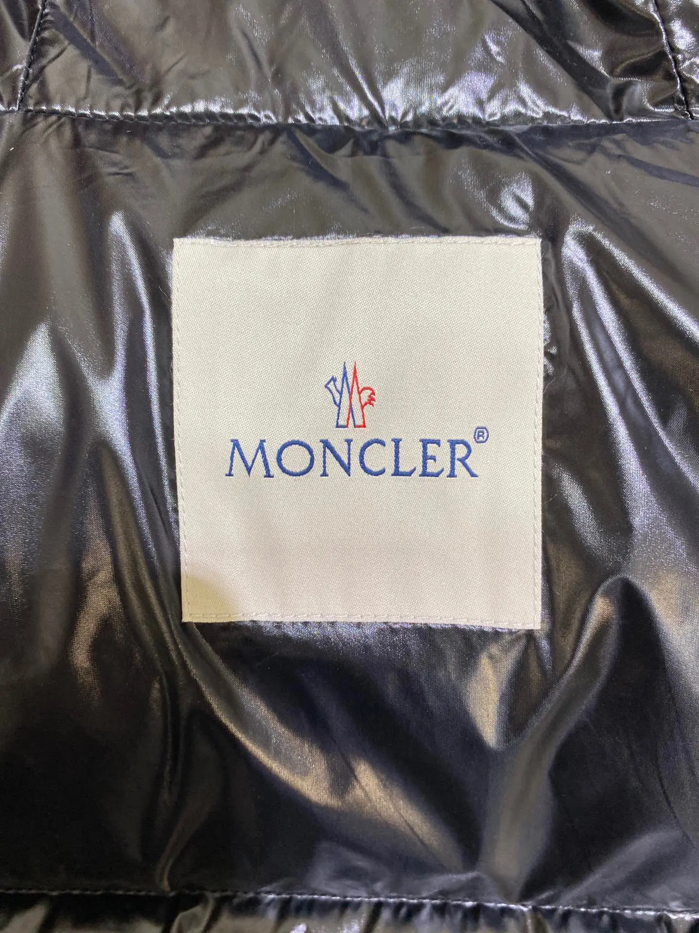 Moncler 2022 new down jacket