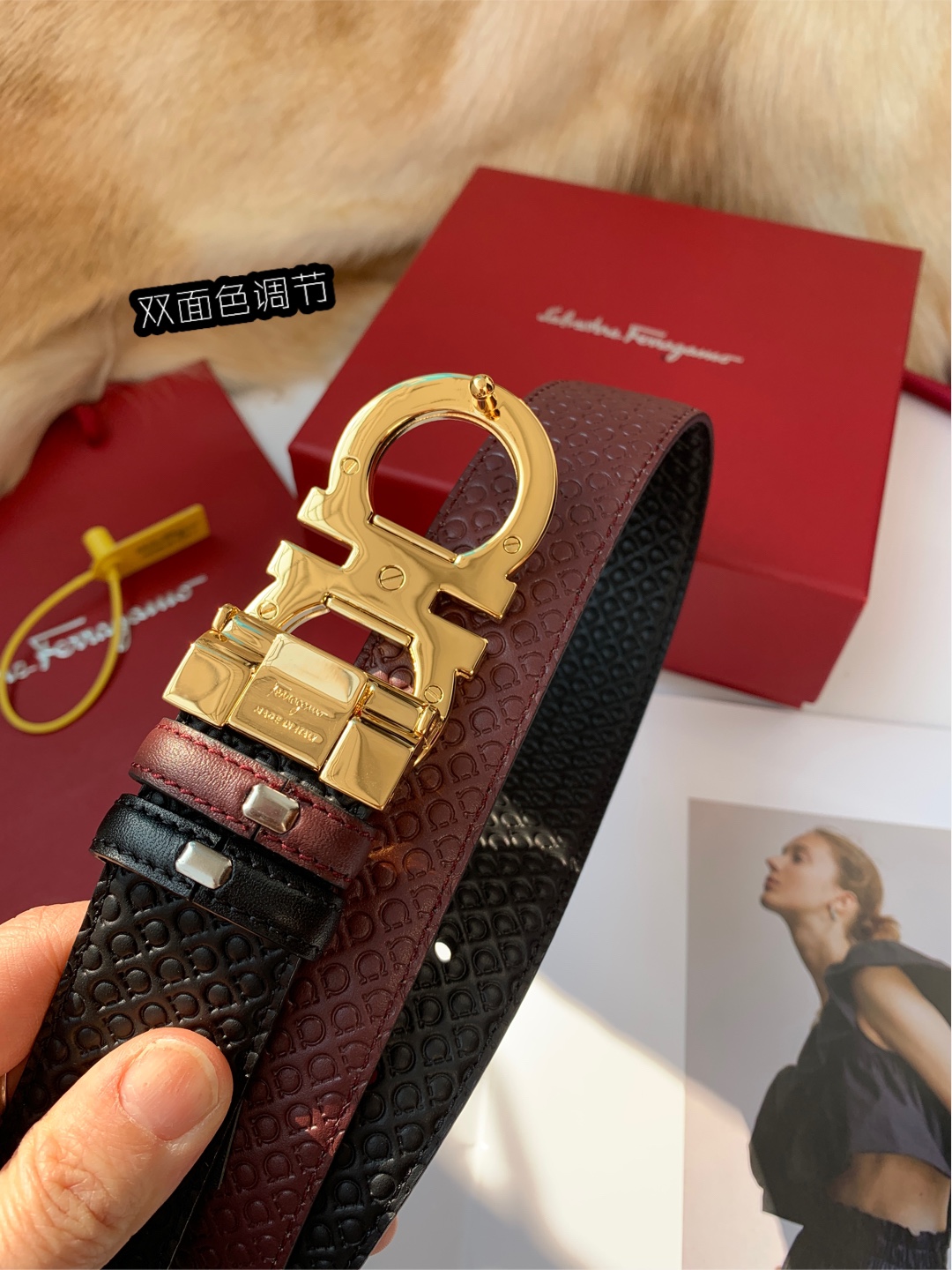 Salvatore Ferragamo Belt in Claret