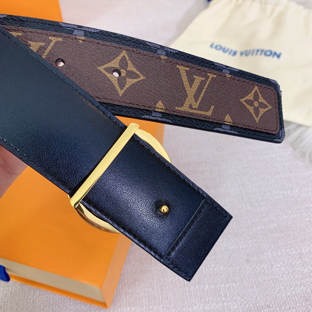 Louis Vuitton Belt in Brown