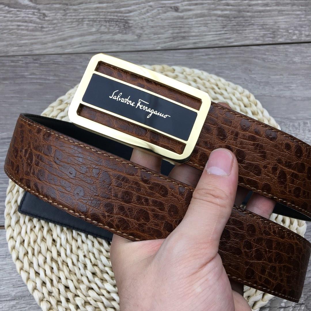 Dark Brown Golden Ferragamo belt ASS02252