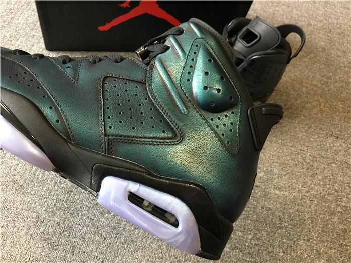 Air Jordan 6 Chameleon Iridescent Flair Sneakers E66531425719