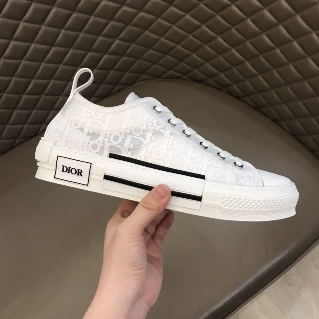 Dior Sneaker B23 in White Low