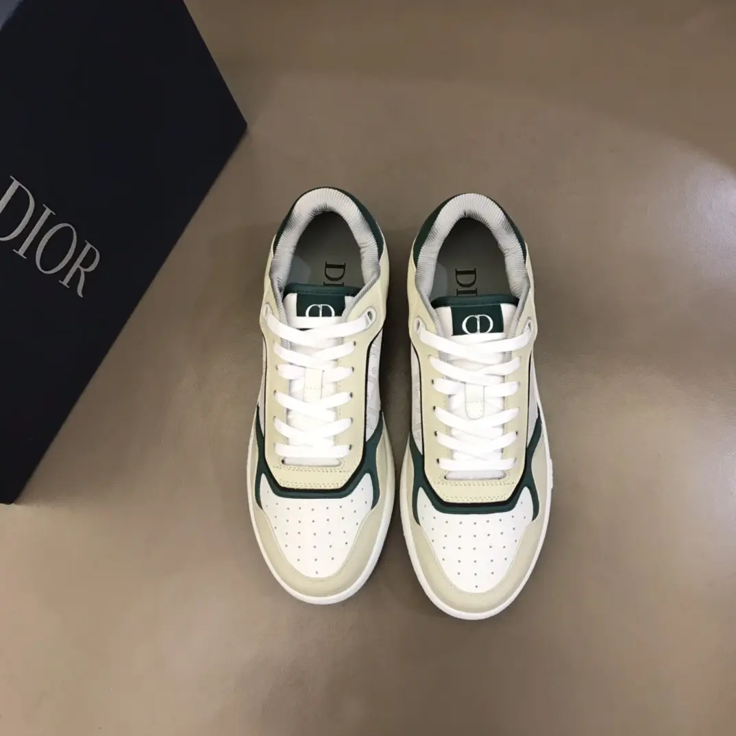 DIOR 2022 new B27 low sneakers  TS23073