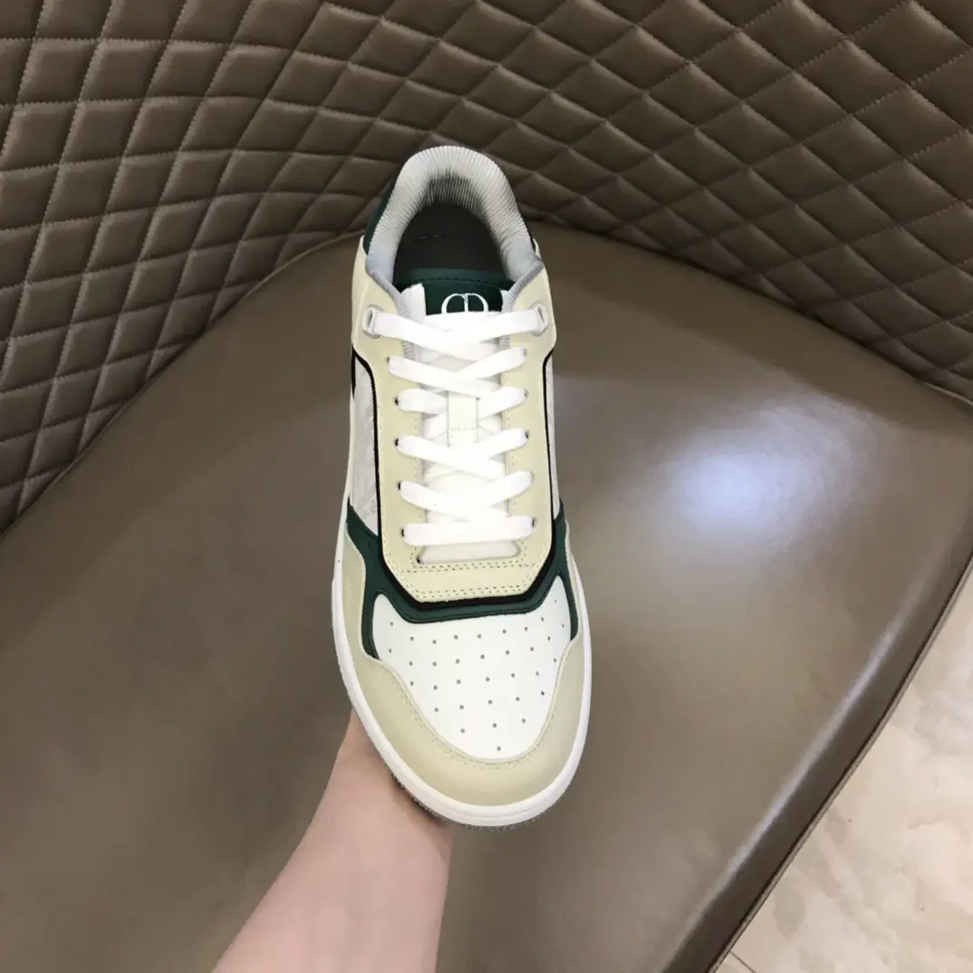 DIOR 2022 new B27 low sneakers  TS23073