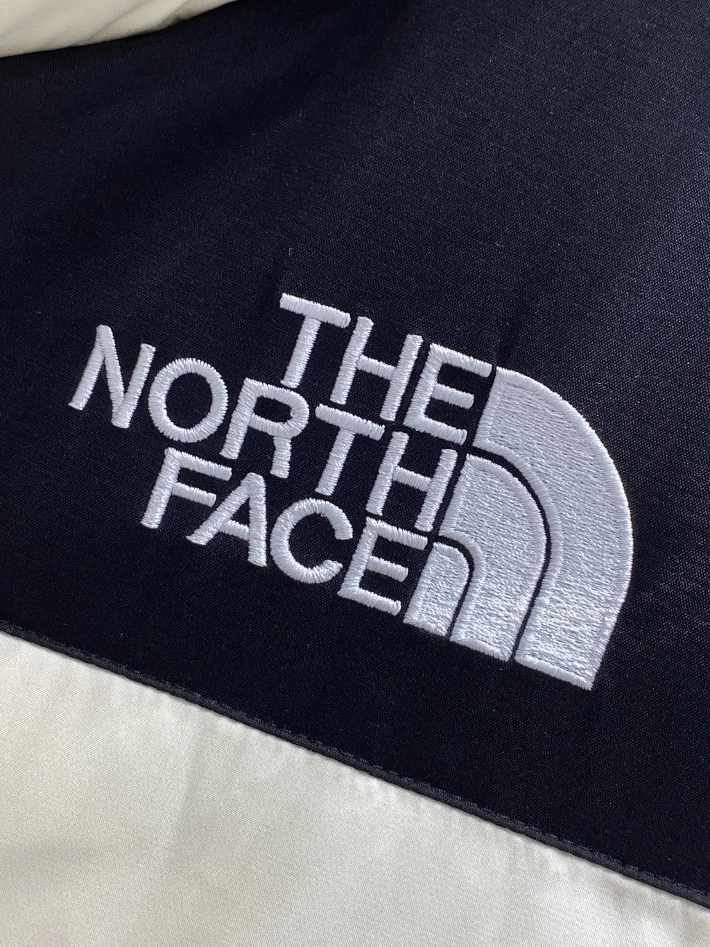 The North Face TNF 2022 new down jacket TNF1021030