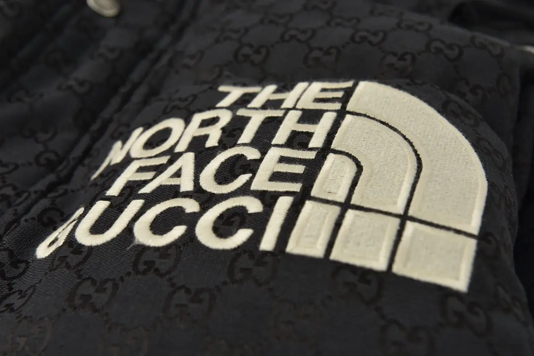 The North Face TNF 2022 new down jacket TNF1021023