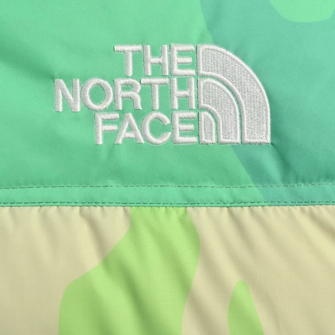 The North Face TNF 2022 new down jacket TNF1021014