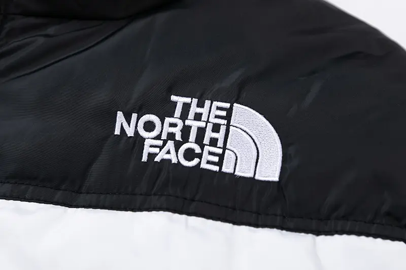The North Face TNF 2022 new down jacket TNF1021011
