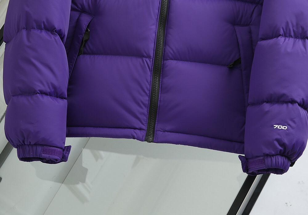 The North Face Down Jacket in Purple