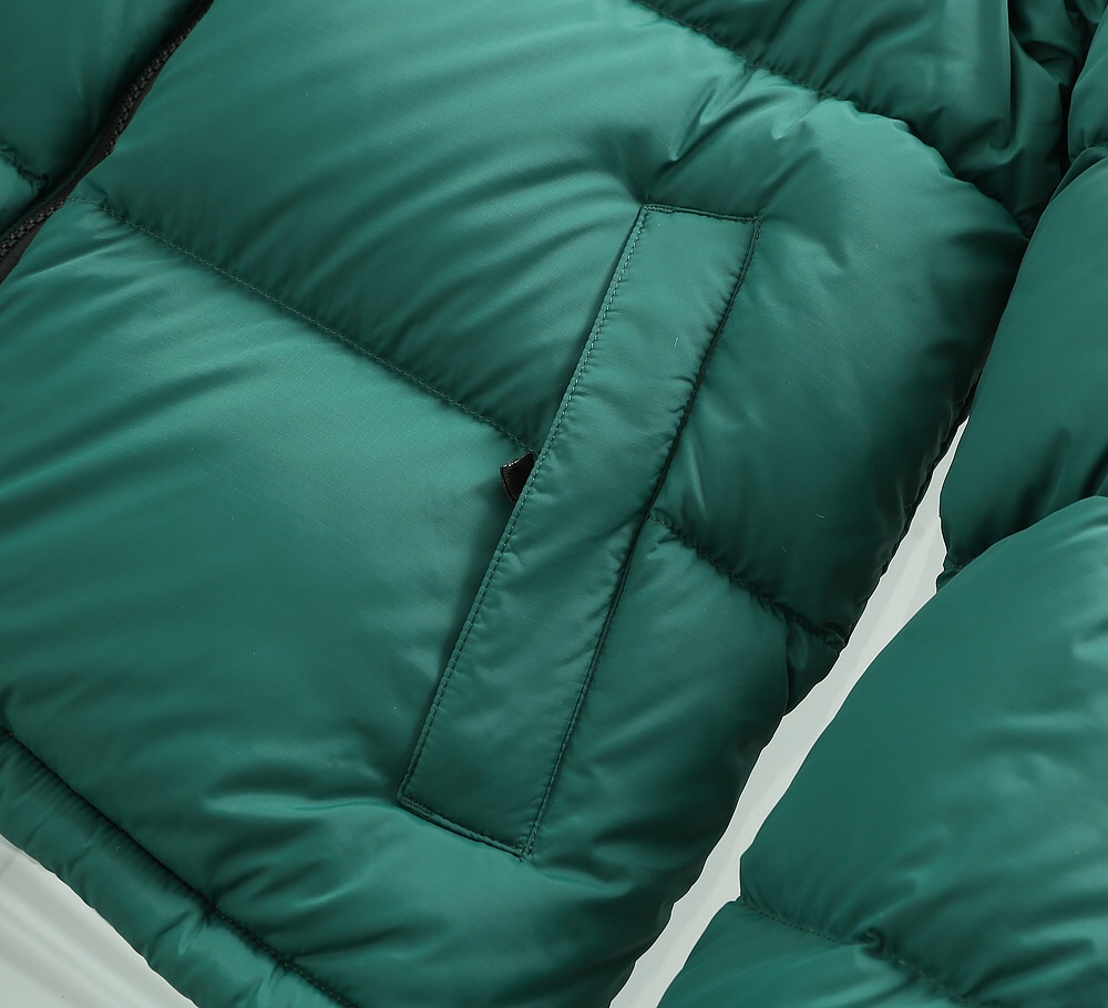 The North Face Down Jacket in Green