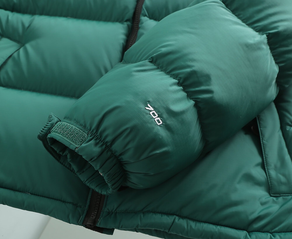 The North Face Down Jacket in Green