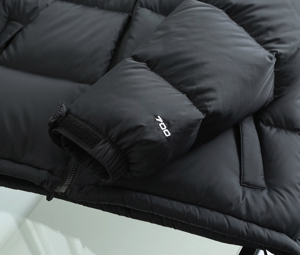 The North Face Down Jacket in Black