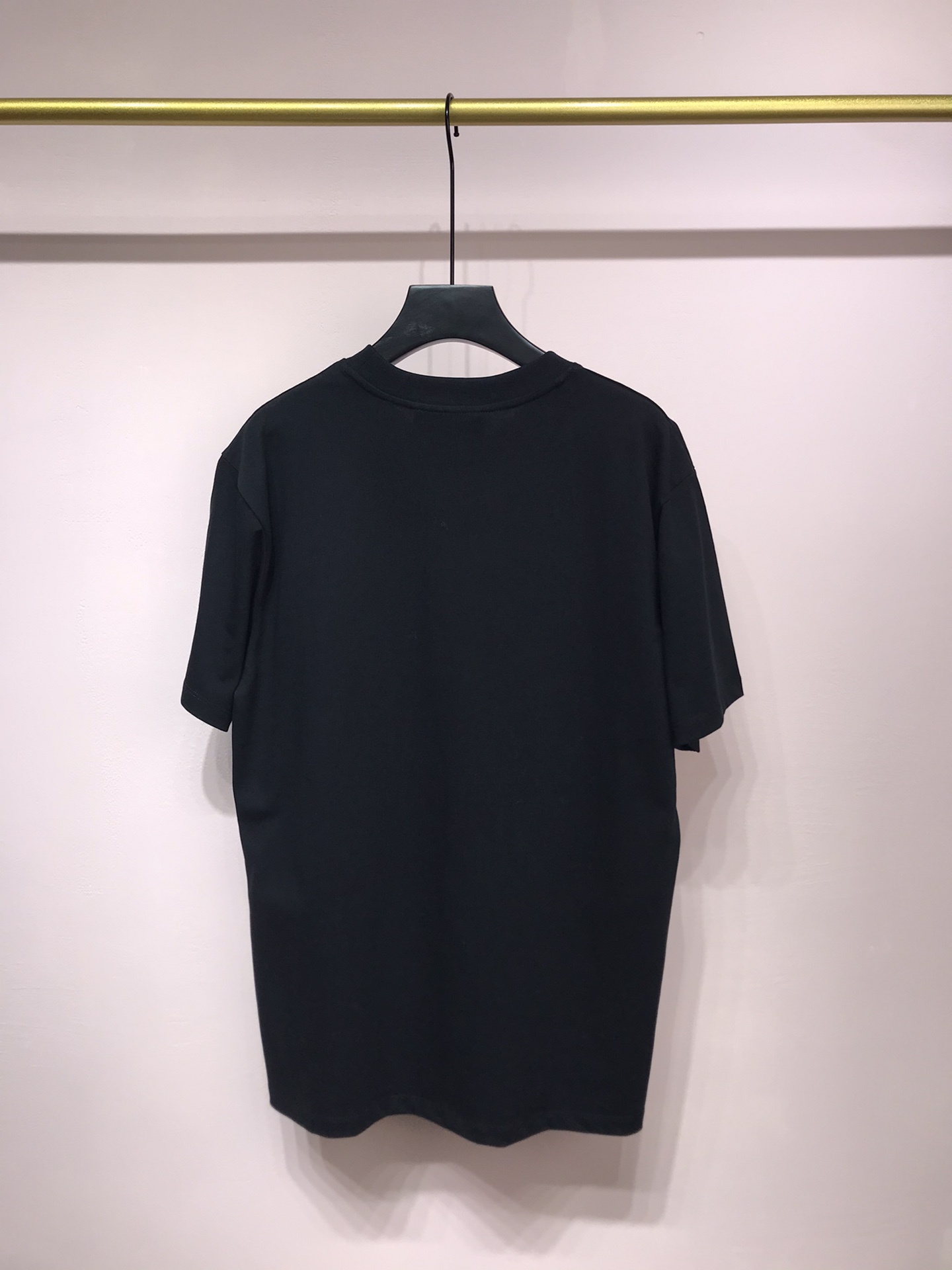 THE NORTH FACE * GUCCI Printing T-shirt