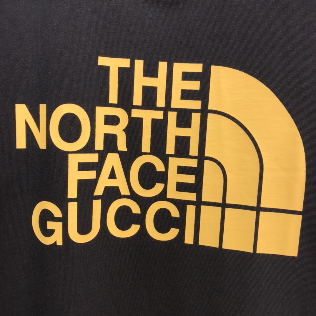 THE NORTH FACE * GUCCI Printing T-shirt