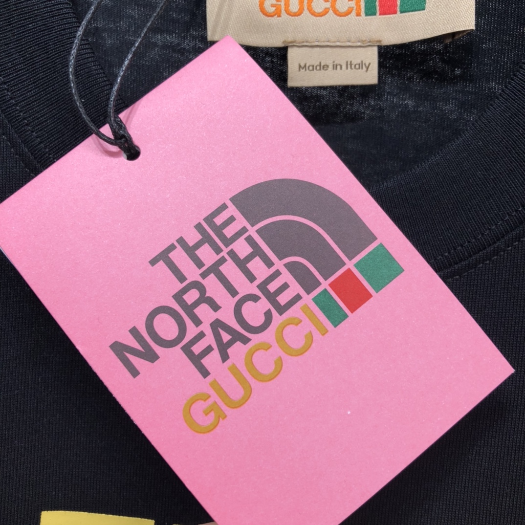 THE NORTH FACE * GUCCI Printing T-shirt