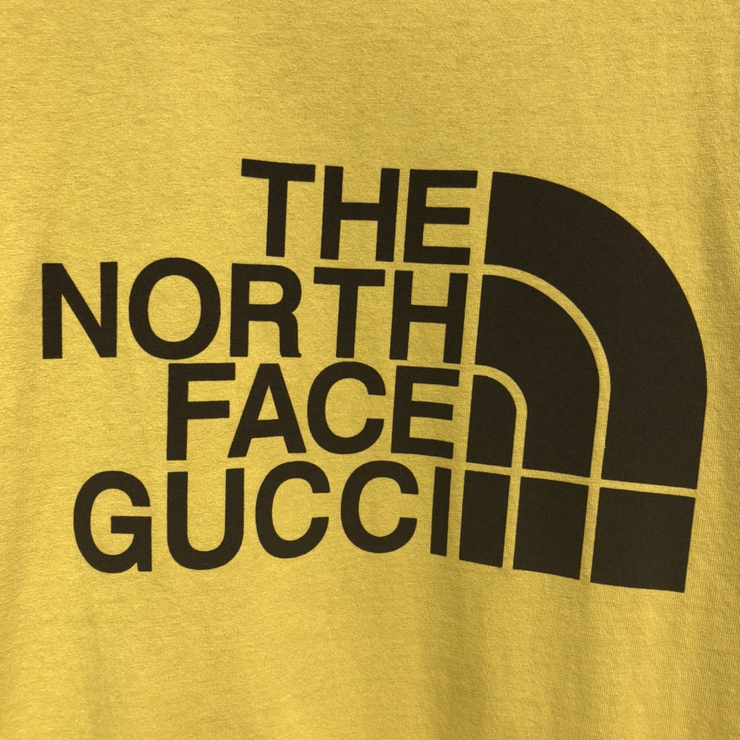 THE NORTH FACE * GUCCI Printing T-shirt