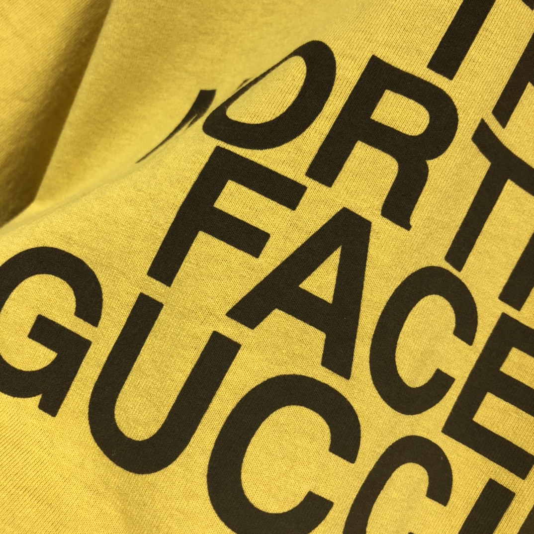 THE NORTH FACE * GUCCI Printing T-shirt
