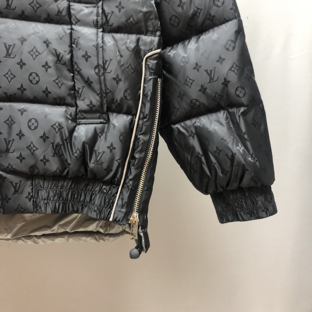 Louis Vuitton Down Jacket LVSE Reversible Monogram