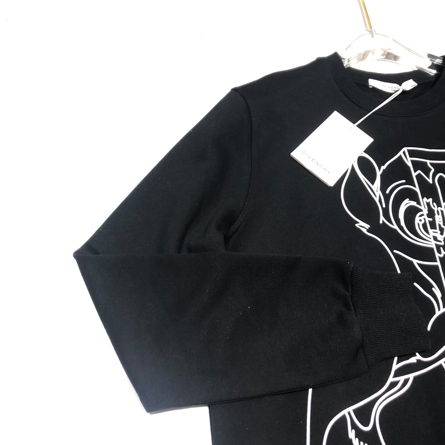 Givenchy Hoodie Rottweiler printed in Black