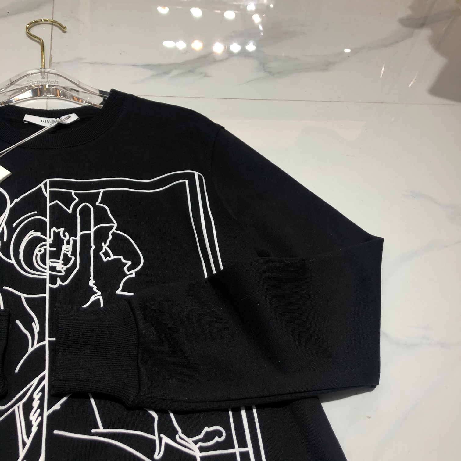 Givenchy Hoodie Rottweiler printed in Black