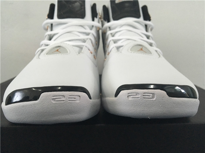 High Quality Air Jordan 17+ Retro Copper White EAC7E968DDF7