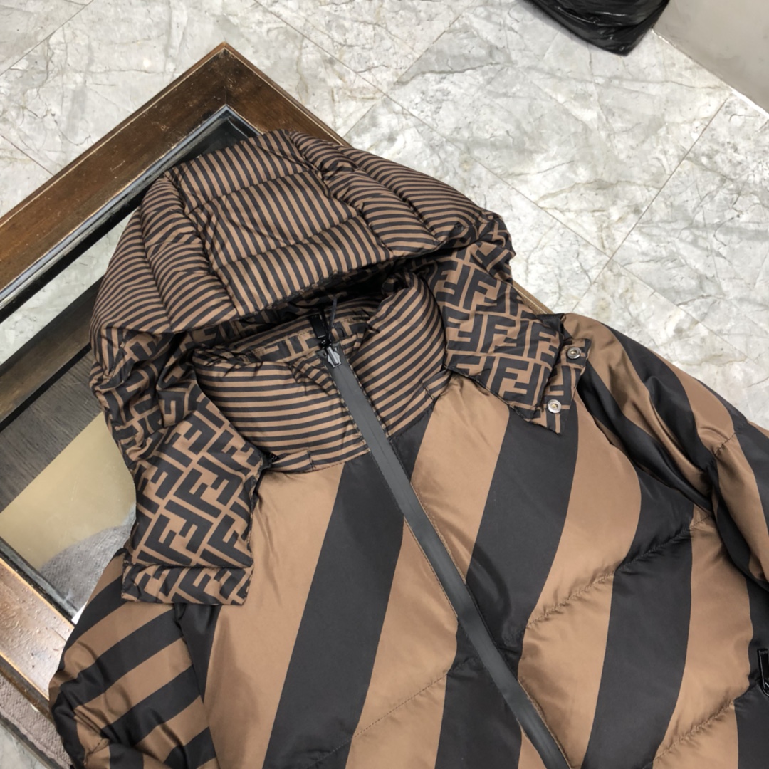 Fendi Down Jacket tech fabric in Brown
