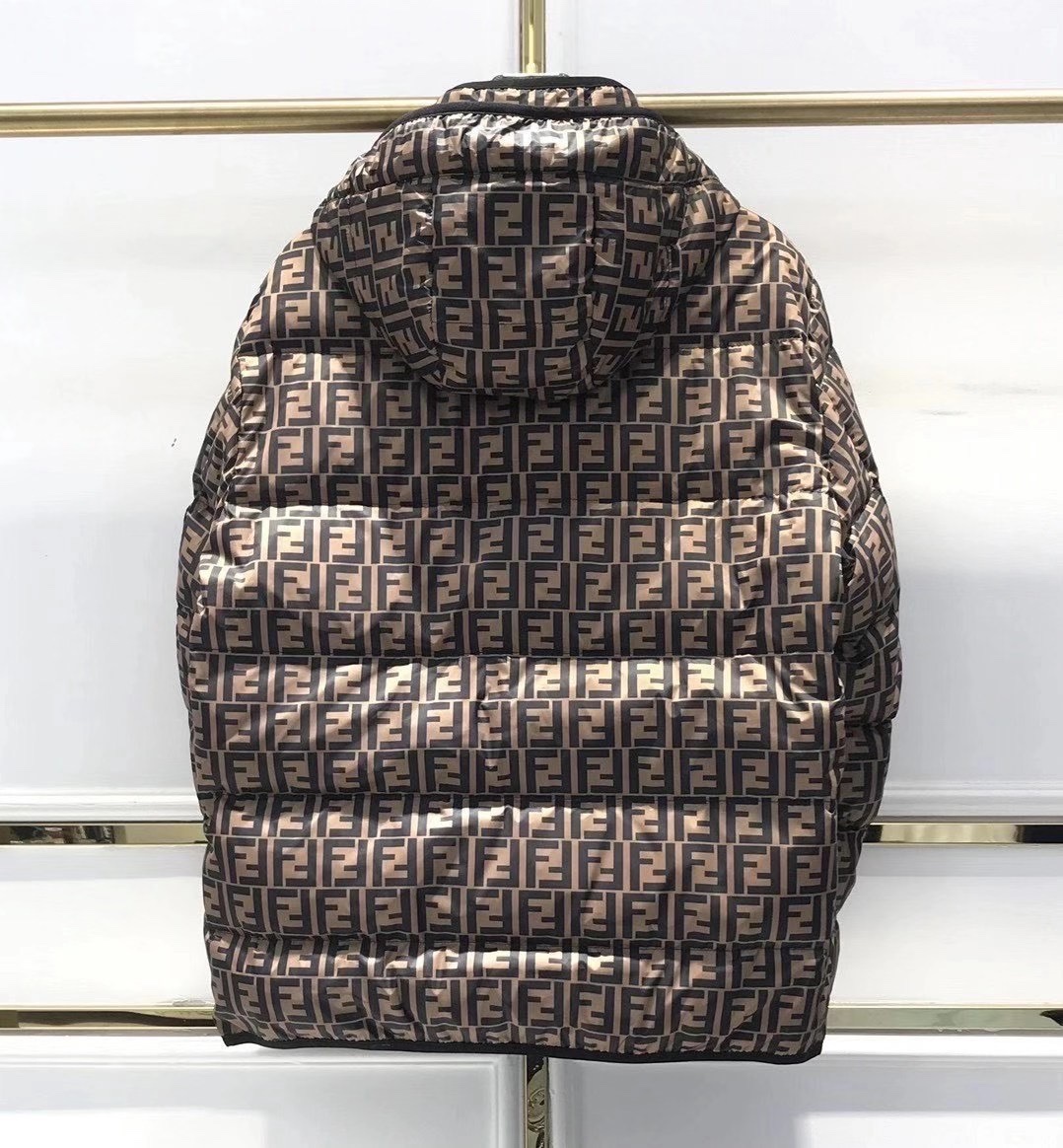 Fendi Down Jacket tech fabric in Brown