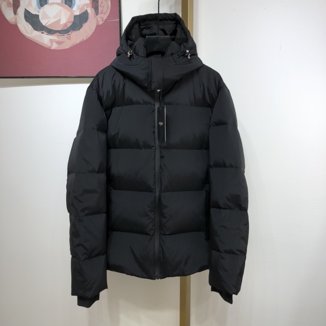 Fendi Down Jacket tech fabric in Black