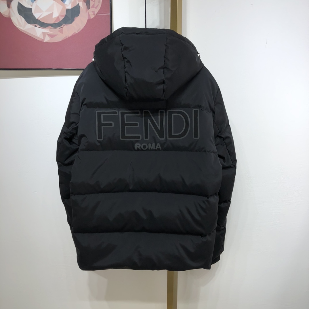 Fendi Down Jacket tech fabric in Black