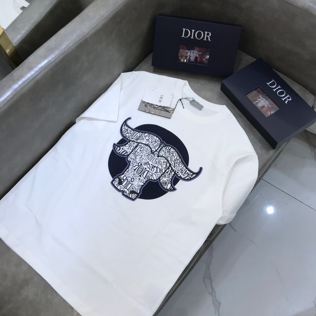 Dior T-shirt Oversized Cotton in White