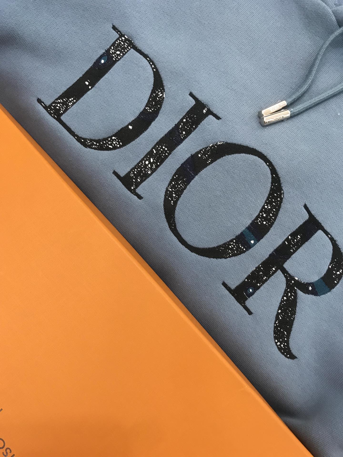 Dior Hoodie Oversized DIOR And PETER DOIG