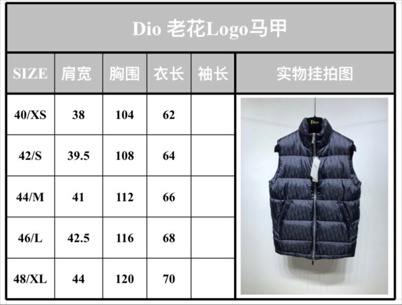 Dior Down Jacket Oblique Sleeveless