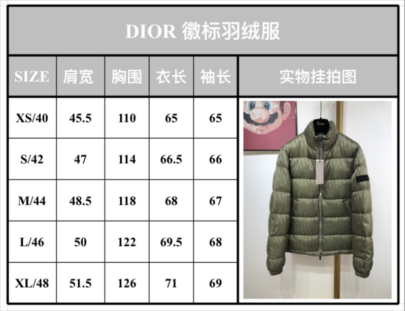 Dior Down Jacket Oblique in Gray