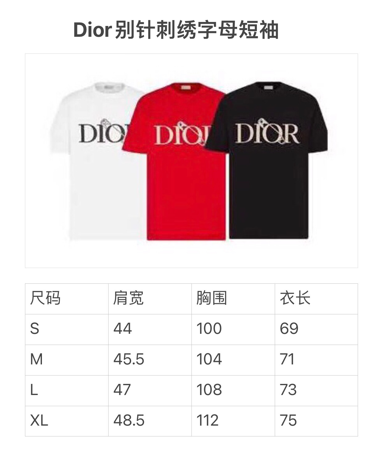 DIOR AND JUDY BLAME T-shirt