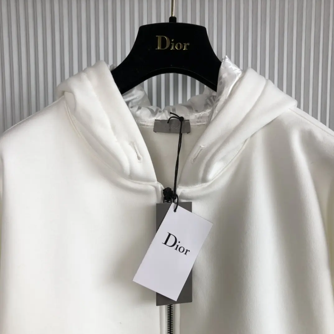 DIOR 2022SS new arrival hoodies TS22929004