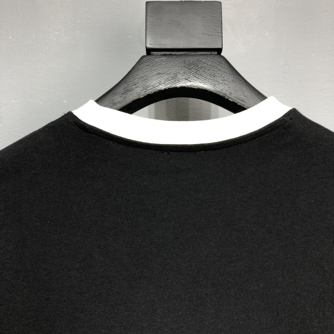 DIOR 2022SS color matching silhouette T-shirt