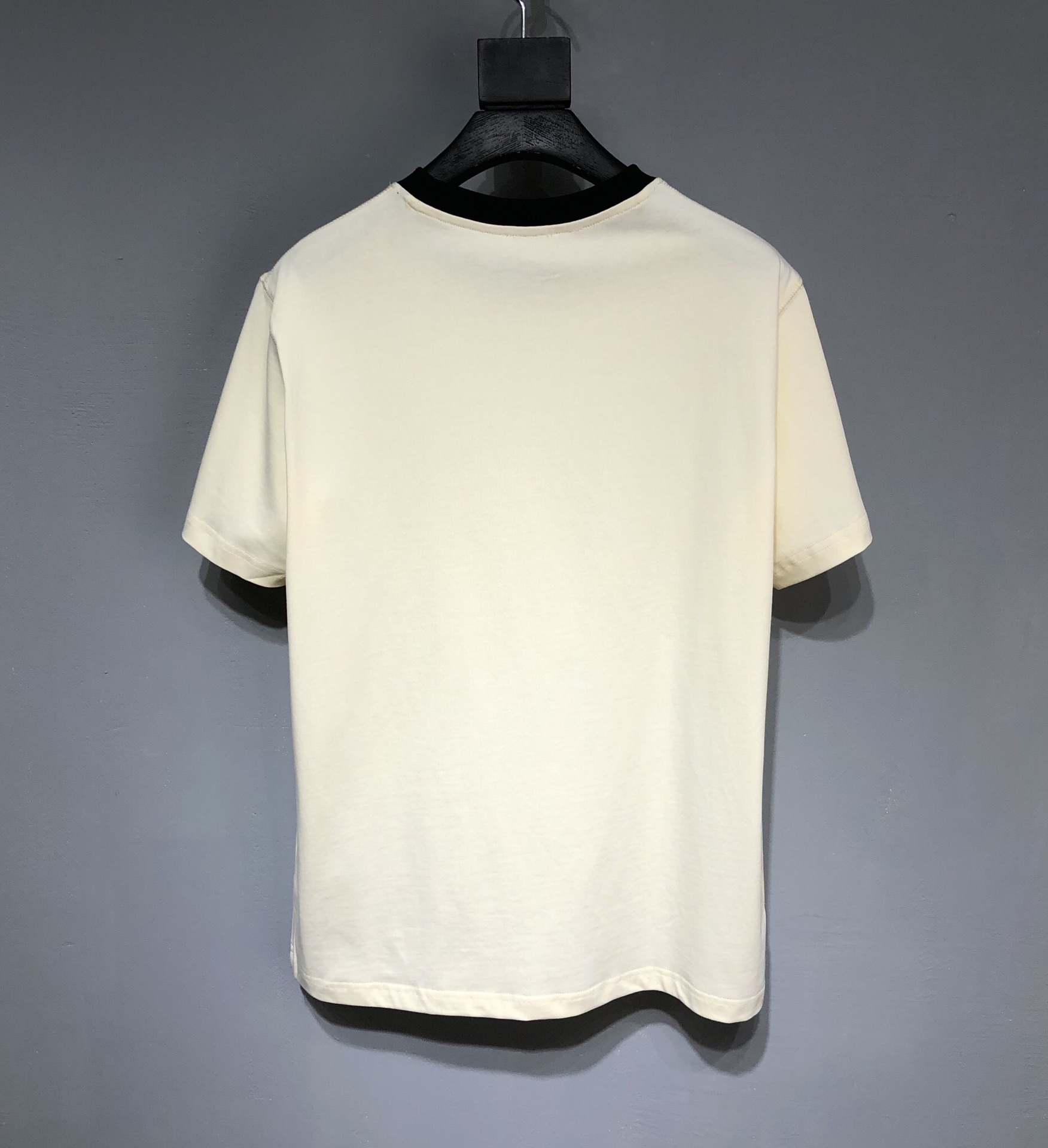 DIOR 2022SS color matching silhouette T-shirt