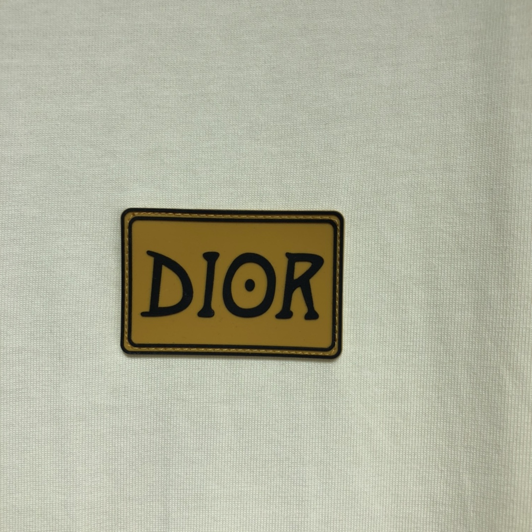 DIOR 2022SS color matching silhouette T-shirt