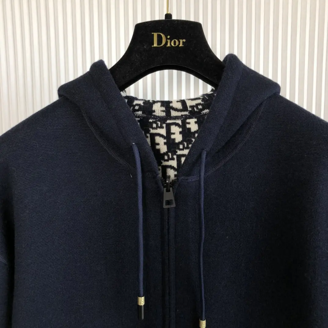 DIOR 2022FW new arrival hoodies TS22929076