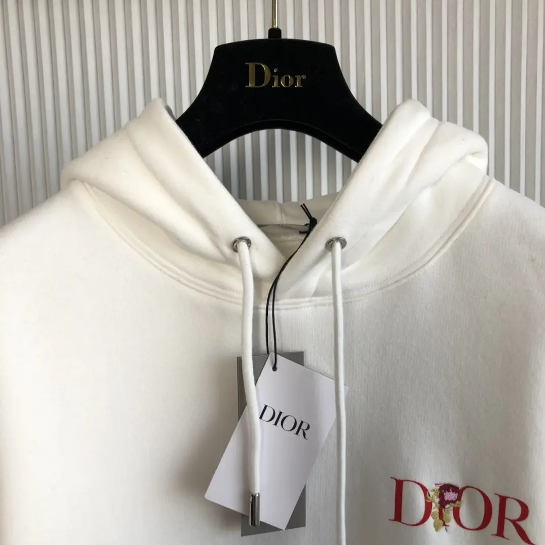 DIOR 2022FW new arrival hoodies TS22929046