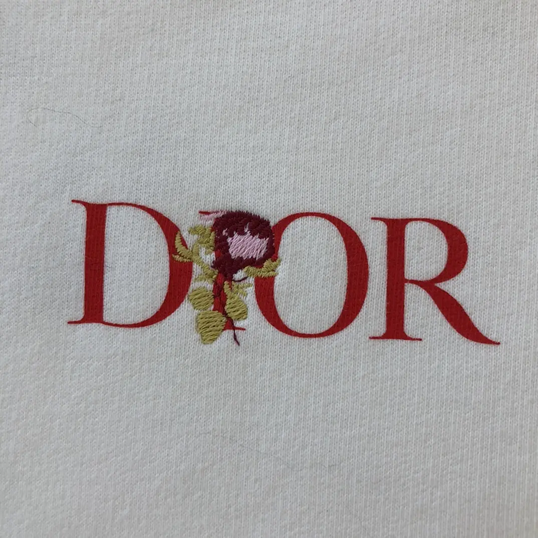 DIOR 2022FW new arrival hoodies TS22929046