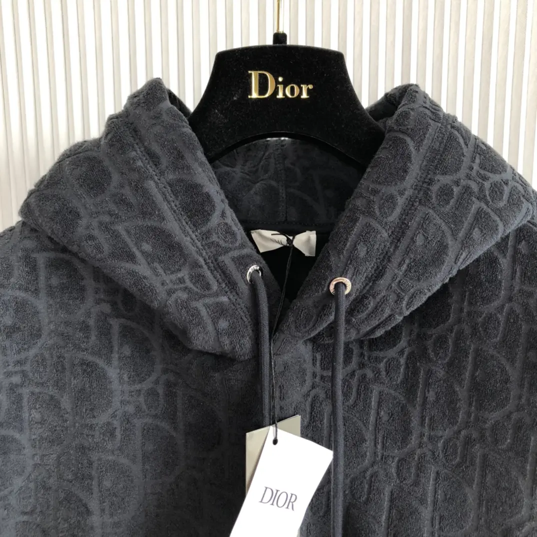 DIOR 2022FW new arrival hoodies TS22929008